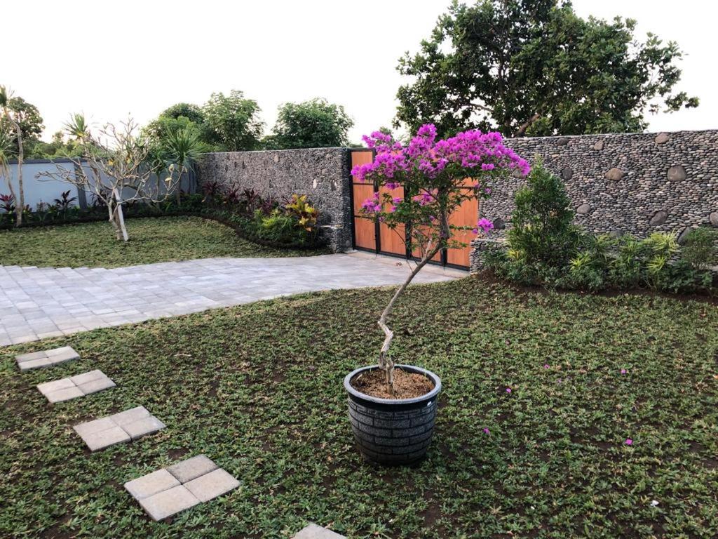 Villa Rosa East Bali 卡朗阿森 外观 照片