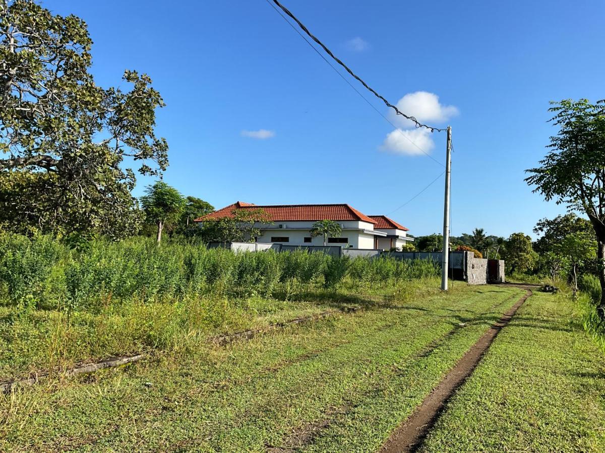 Villa Rosa East Bali 卡朗阿森 外观 照片
