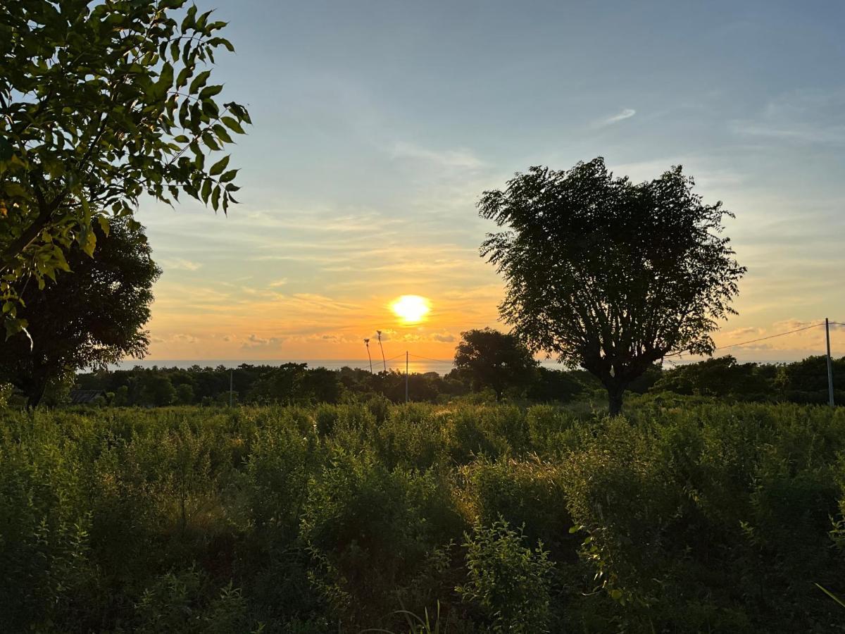 Villa Rosa East Bali 卡朗阿森 外观 照片